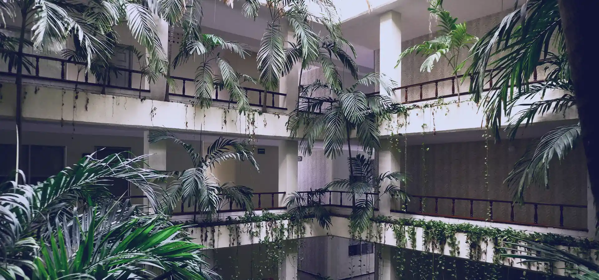 Image Disfruta tus vacaciones en el mejor hotel de Veracruz